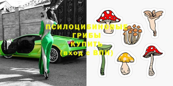 кокс Алексин