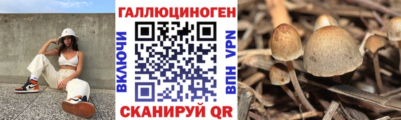 Галлюциногенные грибы прущие грибы  МЕГА ТОР  Краснотурьинск 