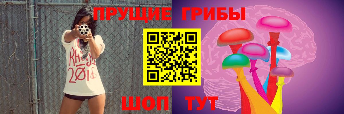 Краснотурьинск  Псилоцибиновые грибы Psilocybe  Вход с VPN 