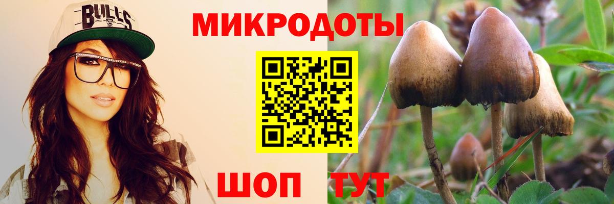 Галлюциногенные грибы мицелий Краснотурьинск